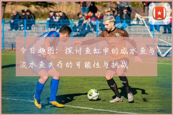 今日趣图：探讨鱼缸中的咸水鱼与淡水鱼共存的可能性与挑战