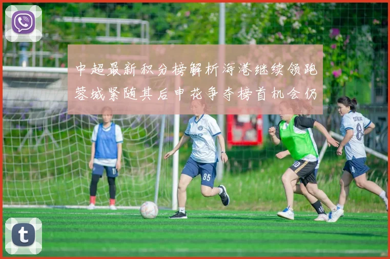 中超最新积分榜解析海港继续领跑蓉城紧随其后申花争夺榜首机会仍在