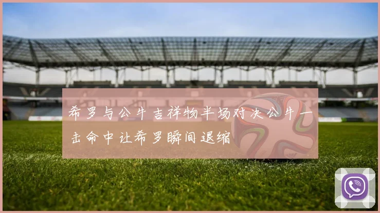 希罗与公牛吉祥物半场对决公牛一击命中让希罗瞬间退缩