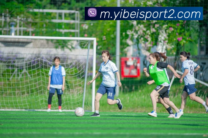 易倍体育平台生态图