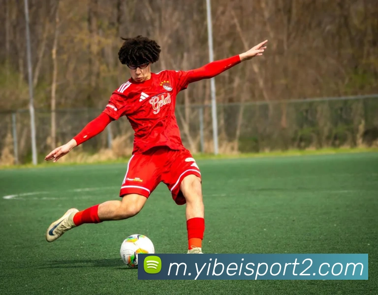 易倍体育全站App